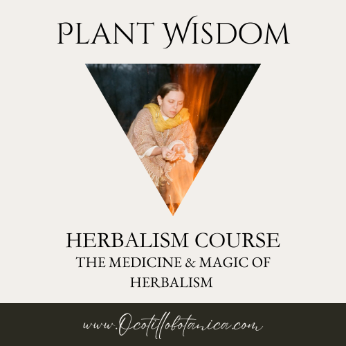 Plant Wisdom