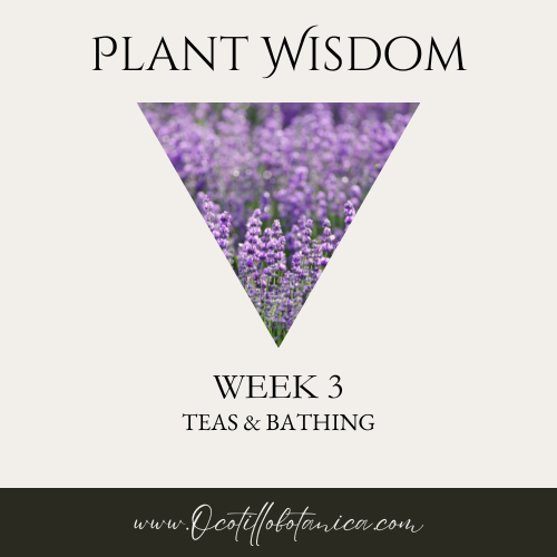 Plant Wisdom