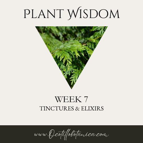 Plant Wisdom