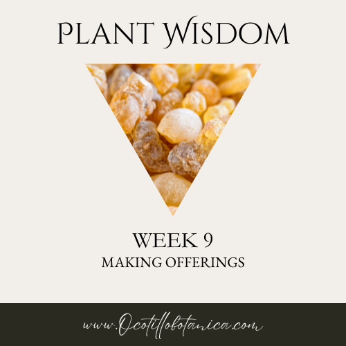 Plant Wisdom