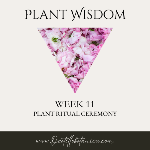 Plant Wisdom