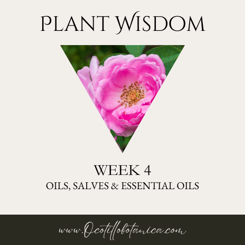 Plant Wisdom