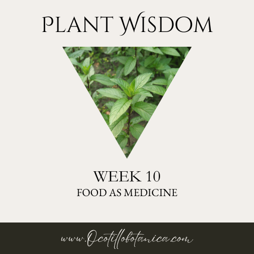 Plant Wisdom
