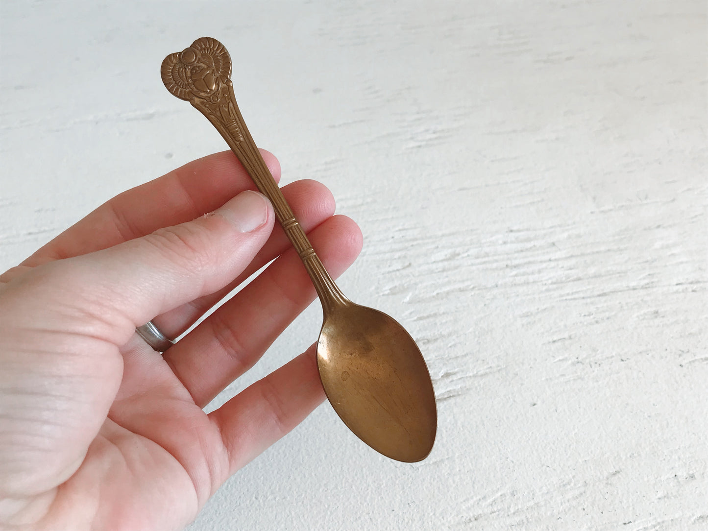 WM.A. Rogers Oneida Scarab Spoon