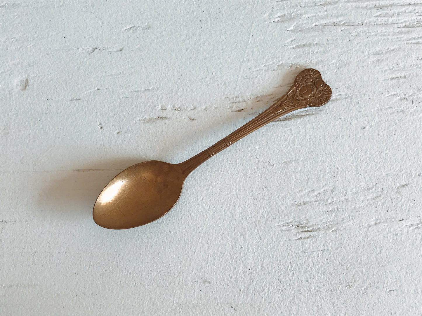 WM.A. Rogers Oneida Scarab Spoon
