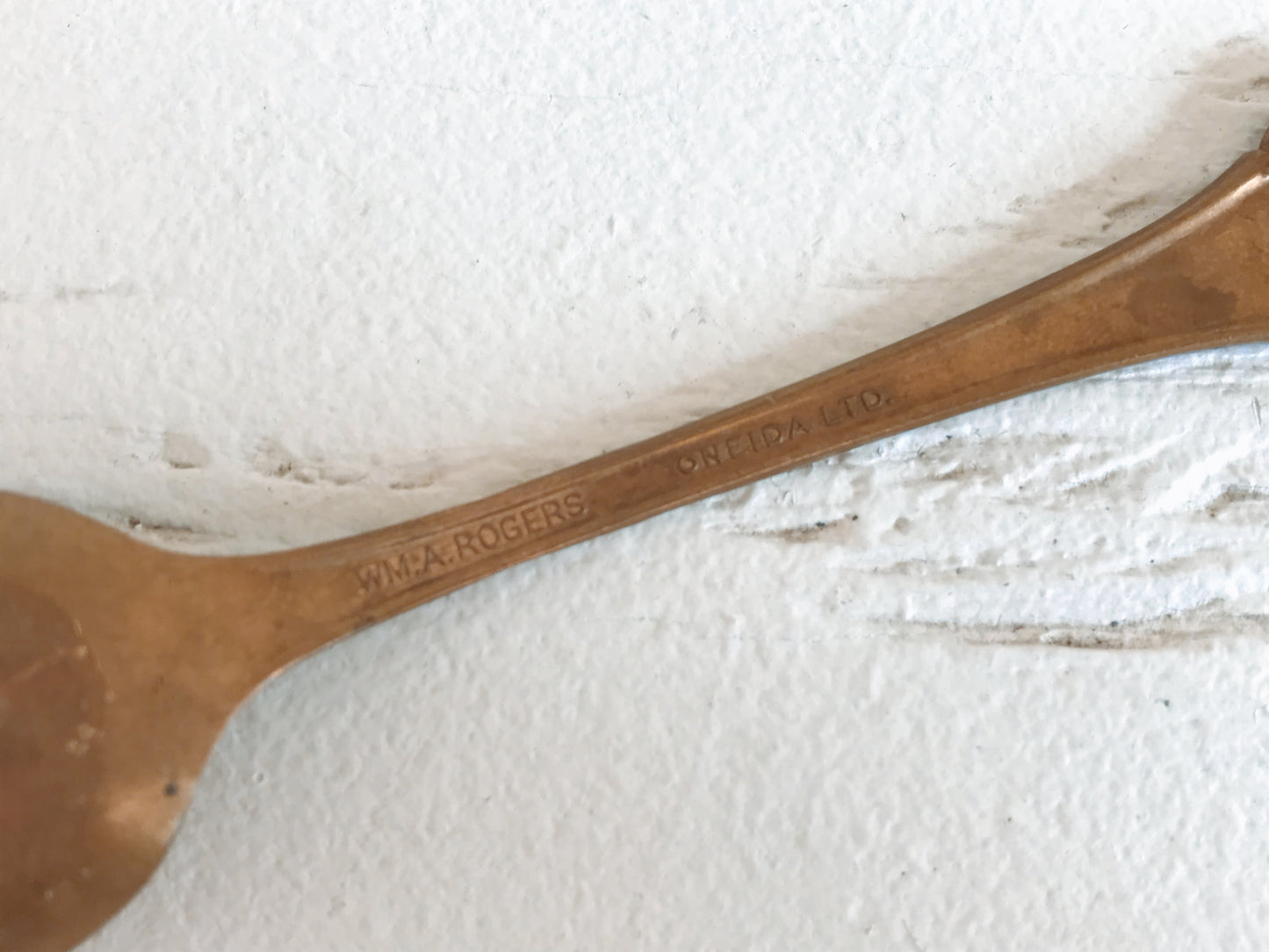 WM.A. Rogers Oneida Scarab Spoon