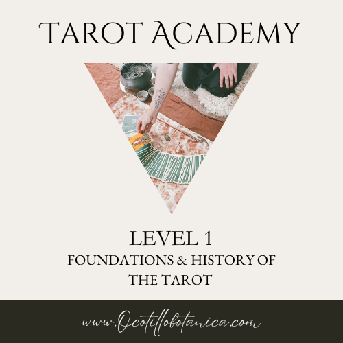 Tarot Academy: Level 1