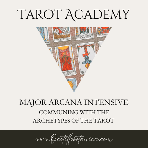 Tarot Academy: Major Arcana Intensive