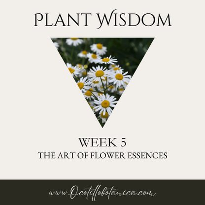 Plant Wisdom