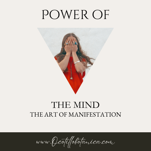 Power of the Mind: The Art of Manifestation