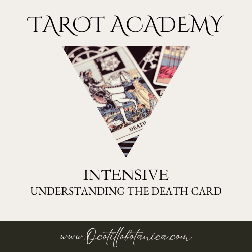 Tarot Academy: Understanding the Death Card