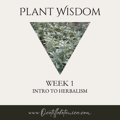 Plant Wisdom