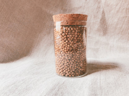 Coriander Seed Medicine Jar