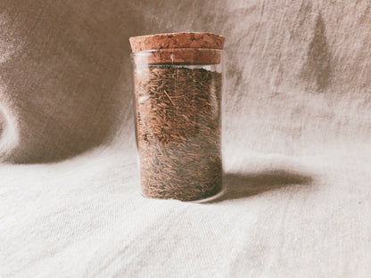 Cumin Seed Medicine Jar