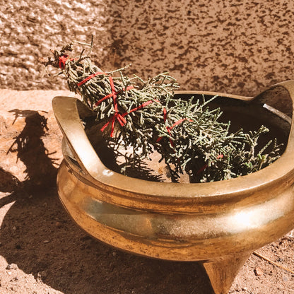 Eastern Red Cedar Burning Bundle