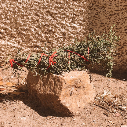 Eastern Red Cedar Burning Bundle