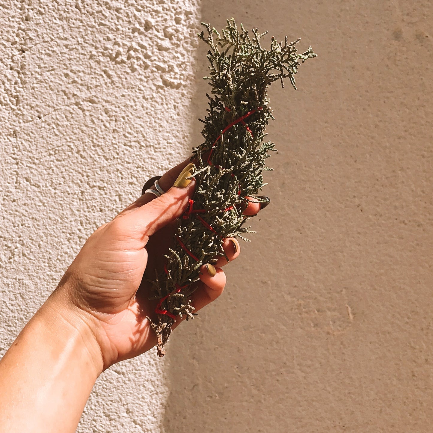 Eastern Red Cedar Burning Bundle