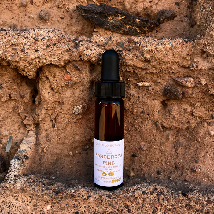 Ponderosa Pine Vibrational Essence